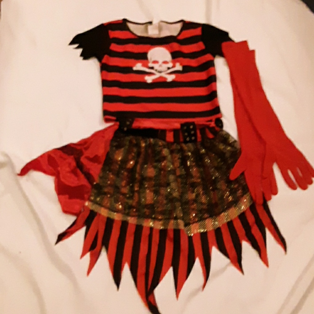 Adult female pirate costume